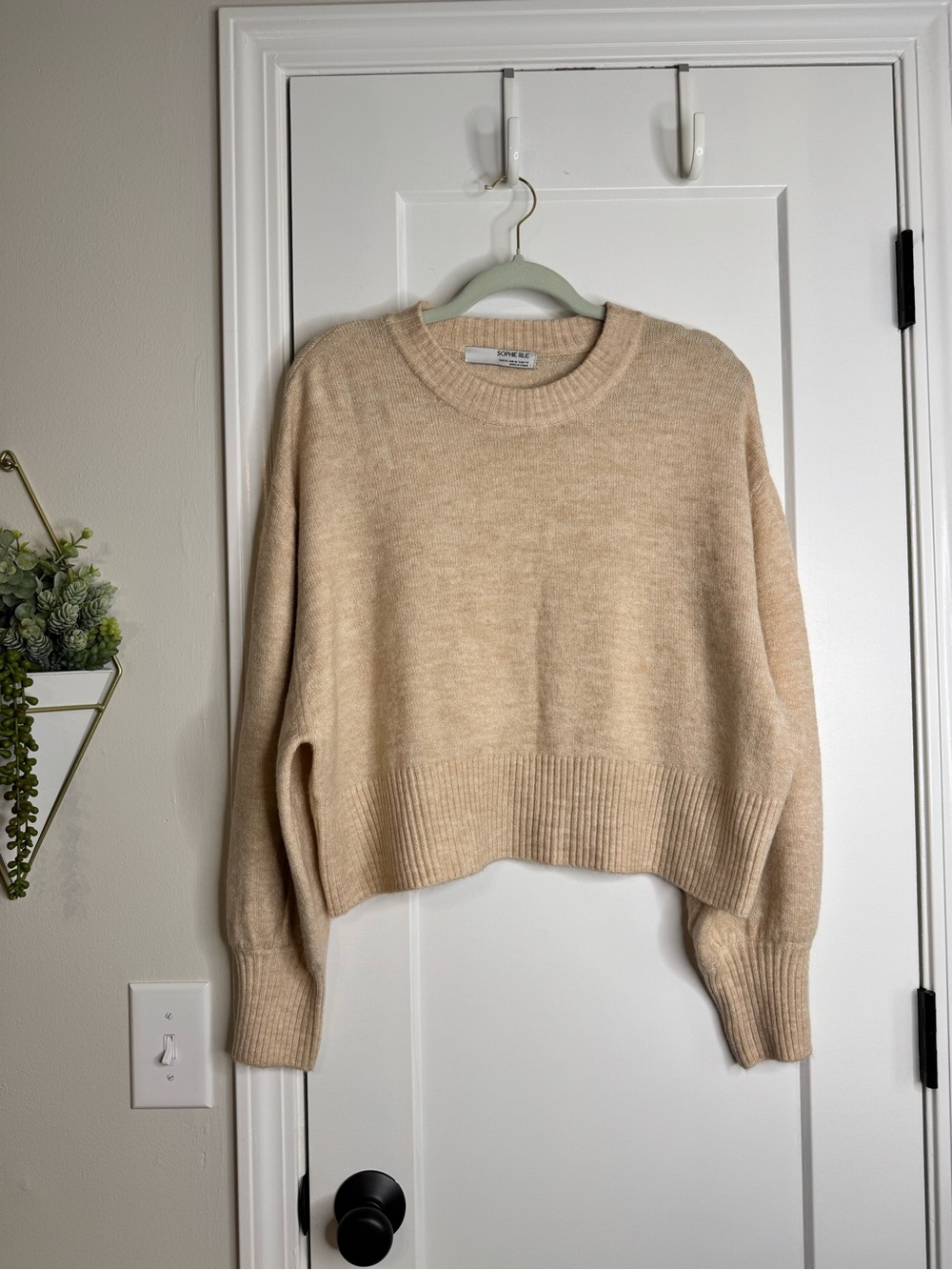 Sophie Rue Cropped Crew Neck Sweater